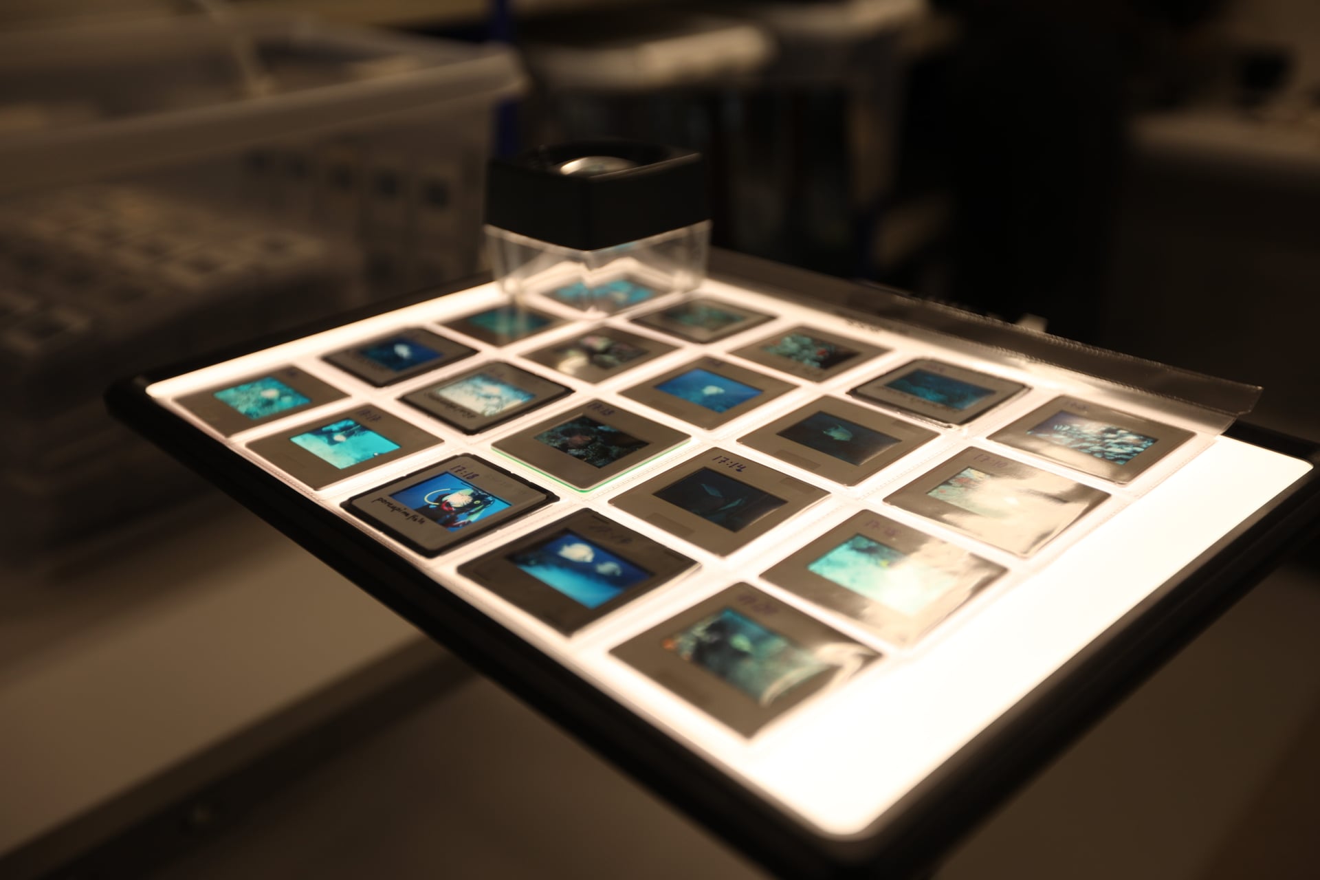 Donated 35mm slides on a lightbox during intake — each frame catalogued before digitisation.