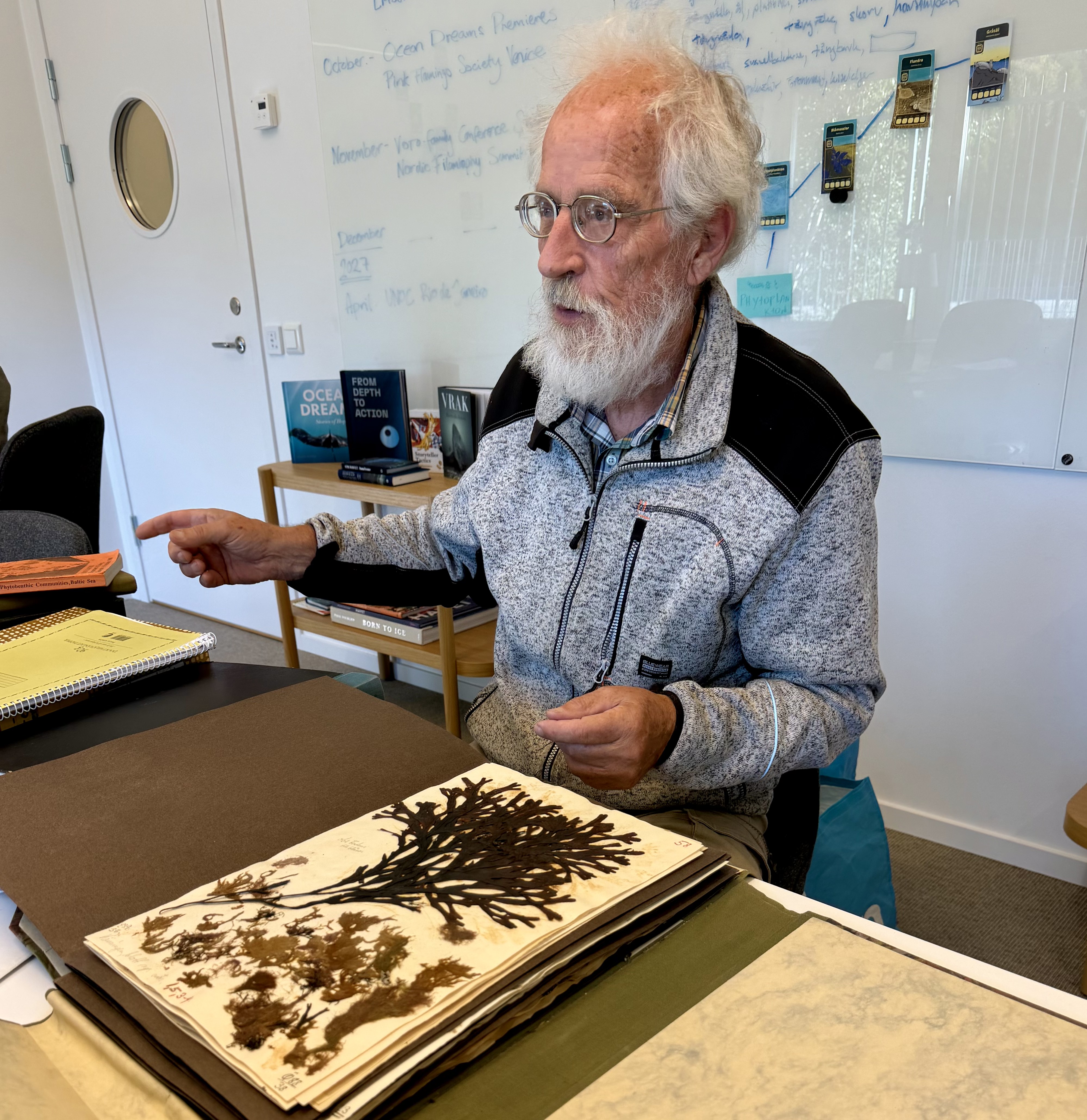 Nils Kautsky with a preserved herbarium specimen from the collection.