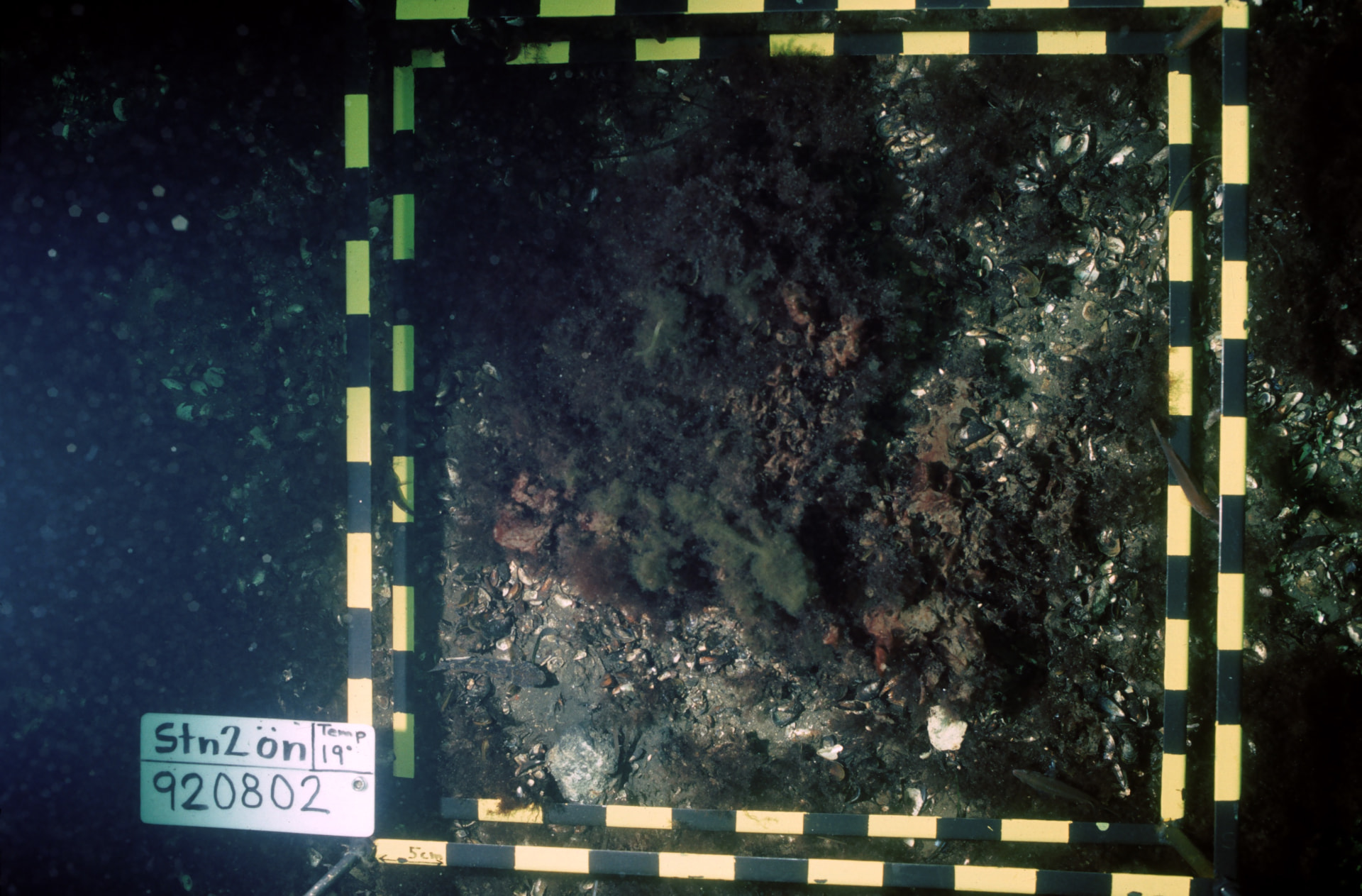 Sampling and documentation station used by Kjell and the Öresund Foundation.