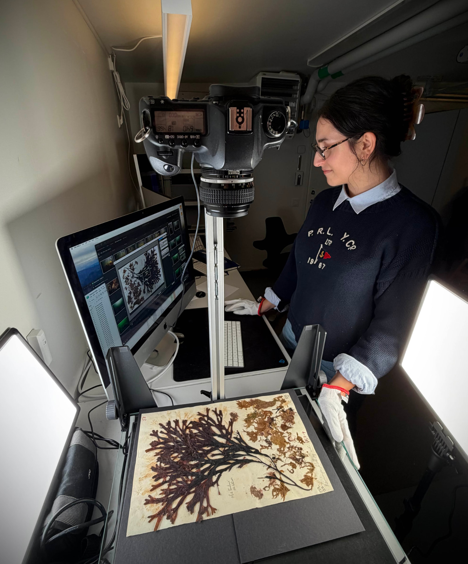 An Ocean Archive archivist photographs a herbarium specimen for a high-resolution digital record.