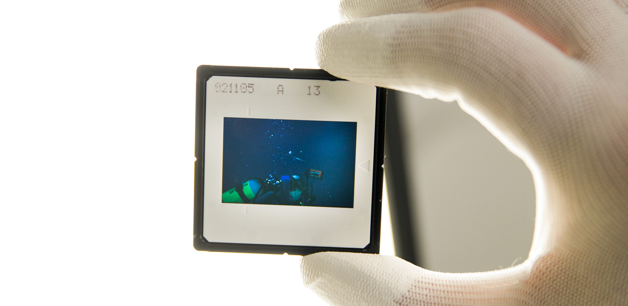 A photographic slide with an underwater image held up against the light during the visit.