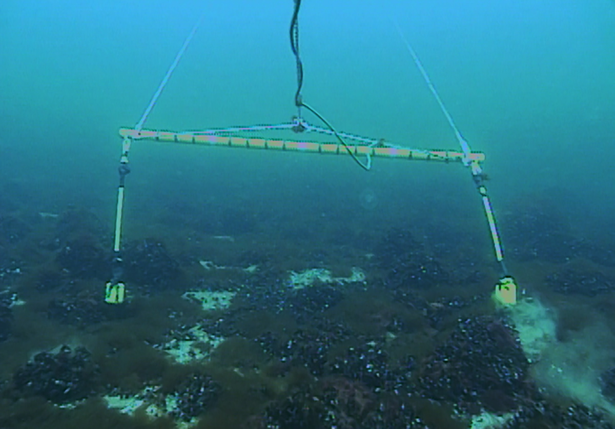 The KAMP method in practice — a frame used to film the seabed along defined underwater survey lines, or transects.