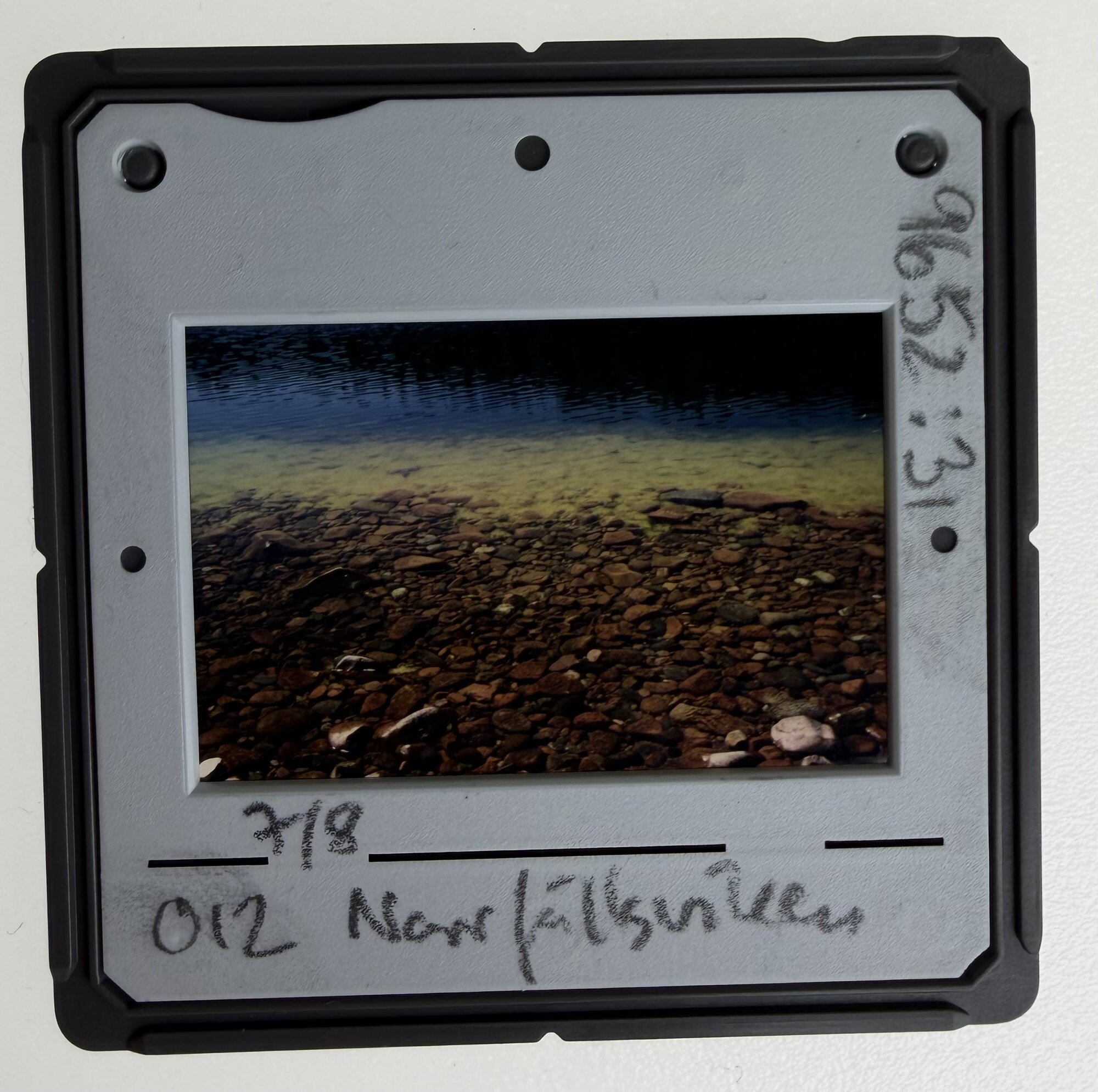 A mounted slide from the collection showing a shallow rocky seabed — one of thousands of images that record the changing state of Nordic coastal ecosystems.