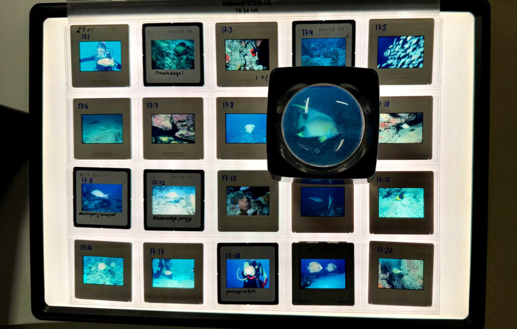Archival records providing baselines for future ocean research